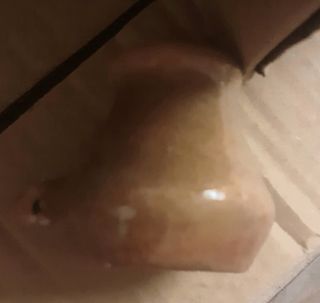 Abbeveratoi per uccelli