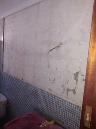 fontanería y paleteria