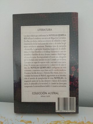 Libro Miguel Cervantes - Novelas Ejemplares
