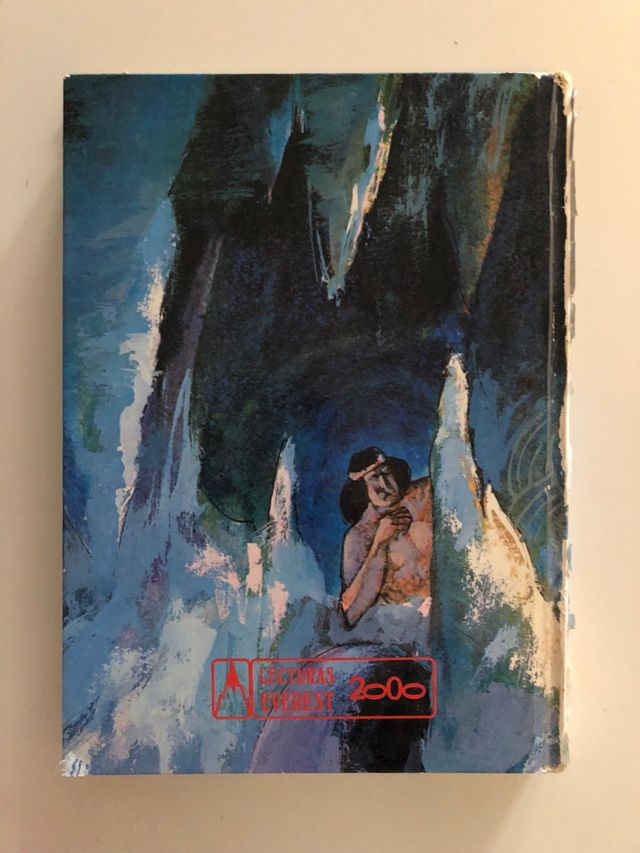 Libro Aventuras de Tom Sawyer