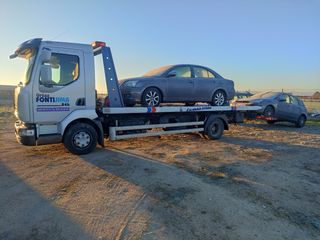 Grúa portacoches económico