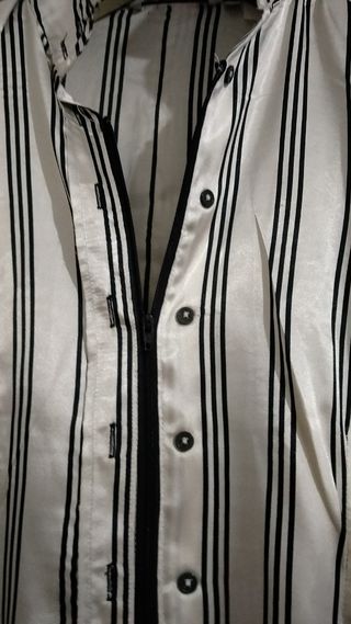 Camisa Satinada Zara Basic.