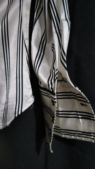 Camisa Satinada Zara Basic.