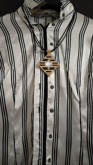 Camisa Satinada Zara Basic.
