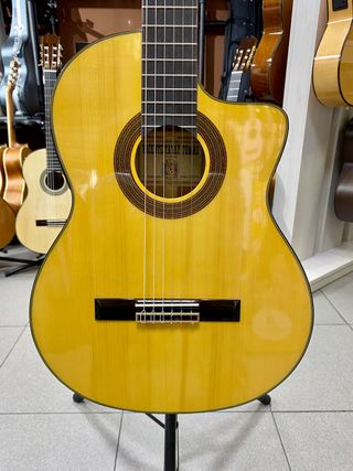 Guitarra Flamenca para directo