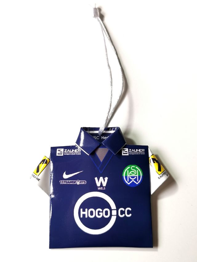 WSH Hertha Wels 2022 Austria Soccerway