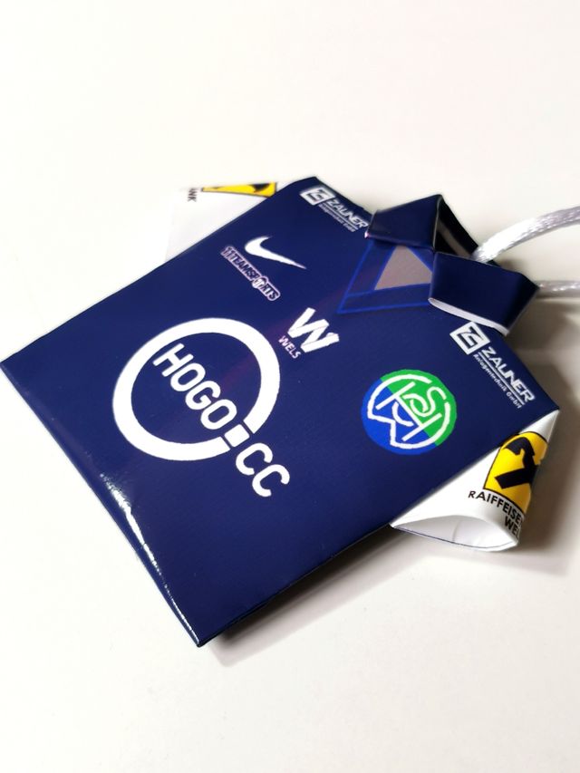 WSH Hertha Wels 2022 Austria Soccerway