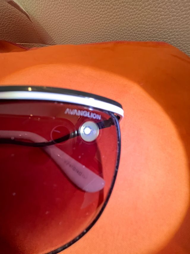 Gafas de sol „Avanglion"