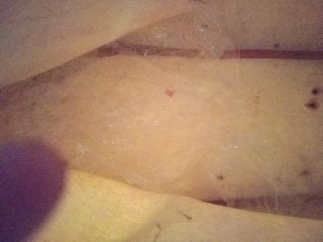 Antiguo maletín bolsa maleta blanco. Gratis. R