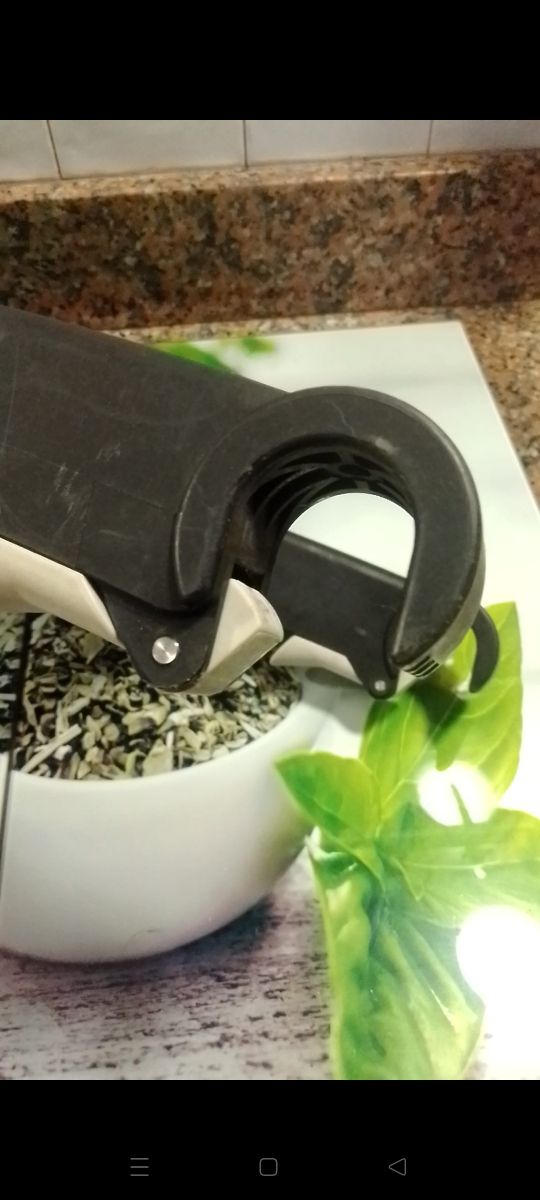 patin Bugaboo hermano mayor