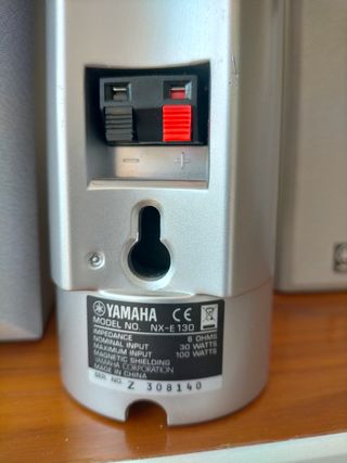 Amplificador sintonizador tuner - video