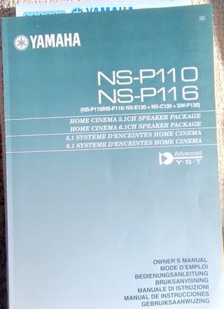 Amplificador sintonizador tuner - video