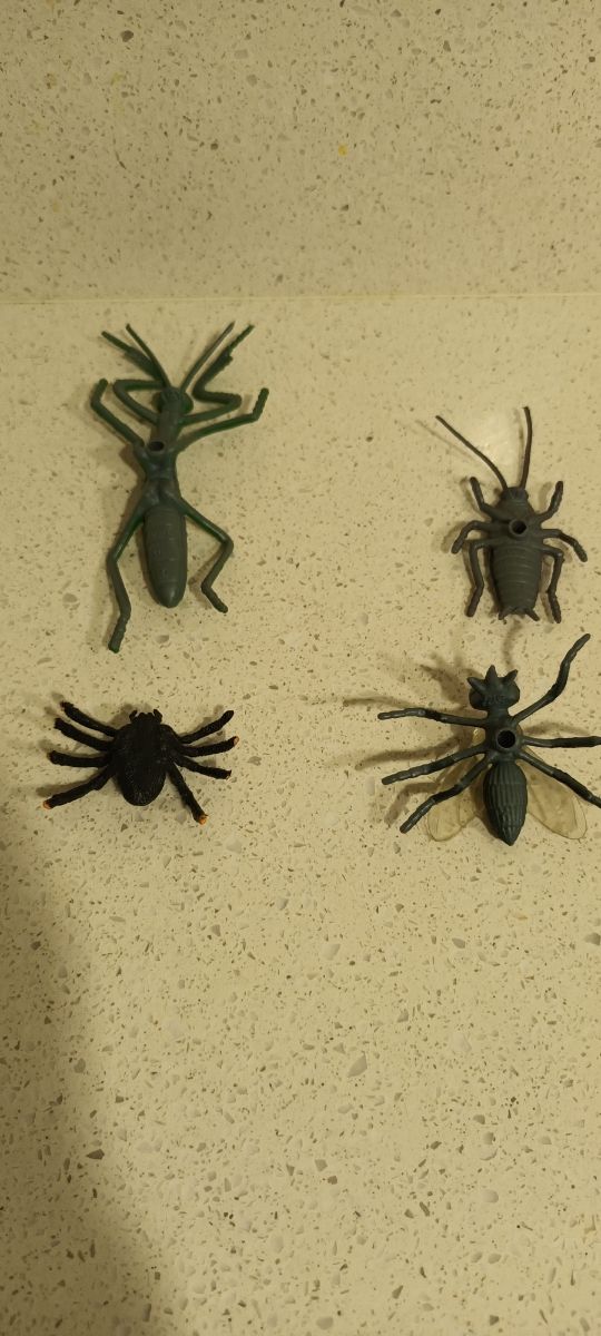 Figuras de insectos