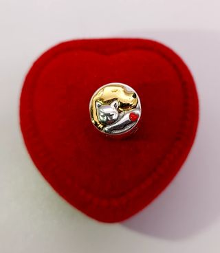 Charm Gatto e Cane Abbracciati in Argento S925