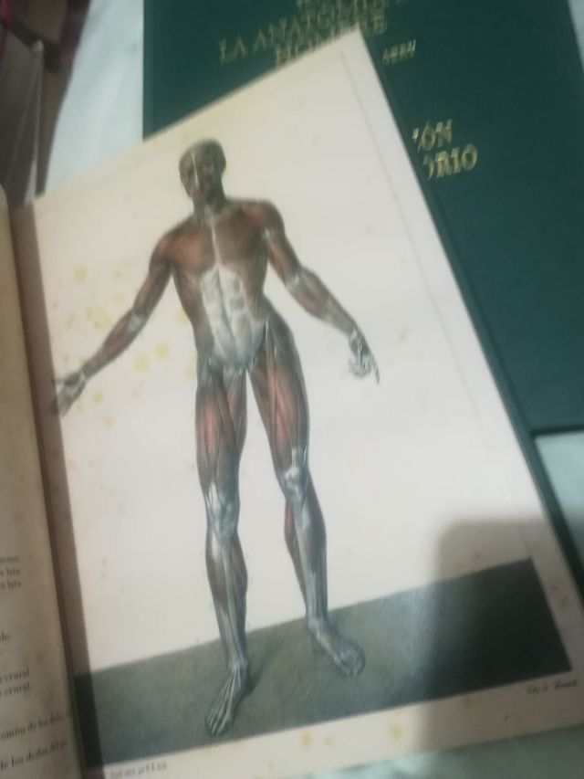 Tratado la anatomía del Hombre4 tomos