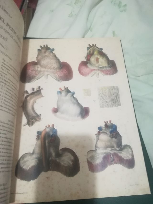 Tratado la anatomía del Hombre4 tomos