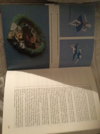 Actividades Manuales que Desarrollan la Creativida