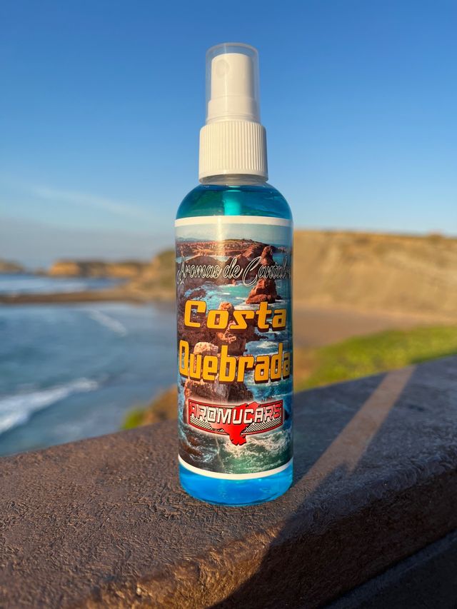 Ambientadores para coche de Cantabria