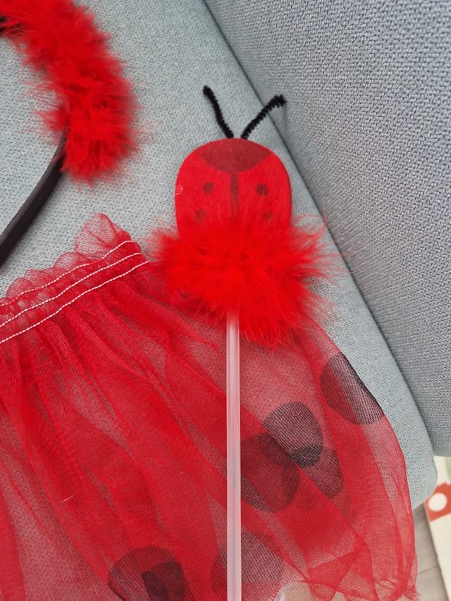 Disfraz mariquita Niña