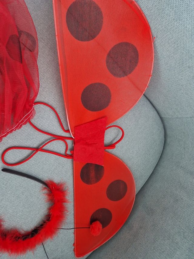 Disfraz mariquita Niña