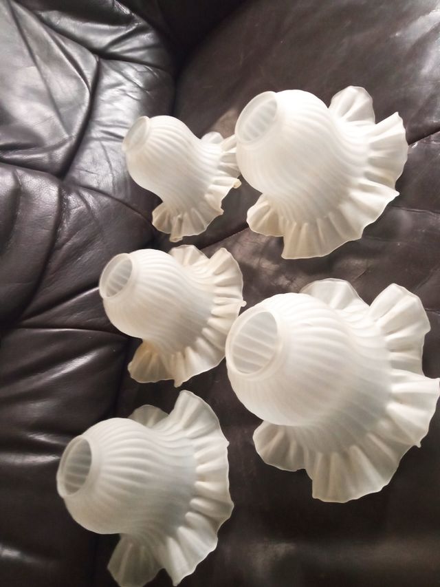 Lote de cinco tulipas vintage