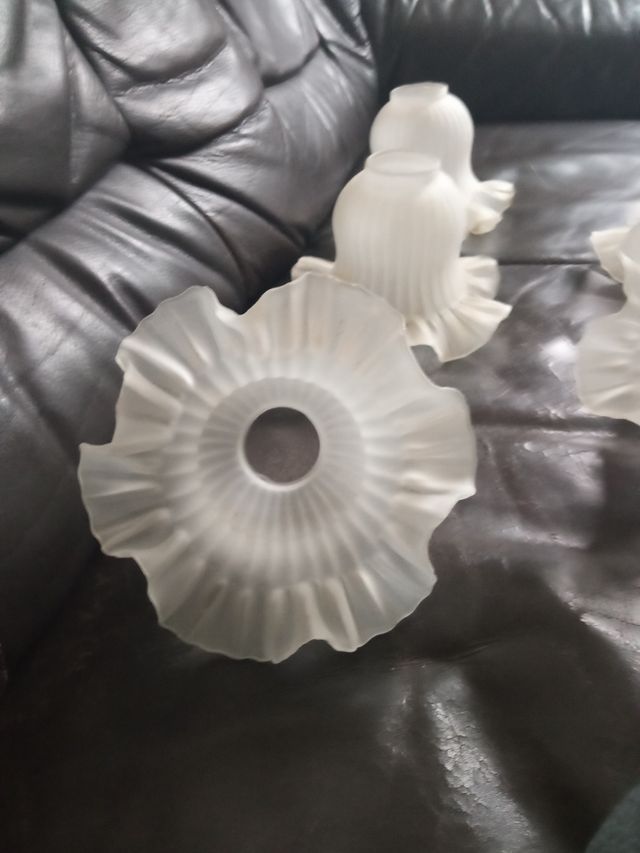 Lote de cinco tulipas vintage