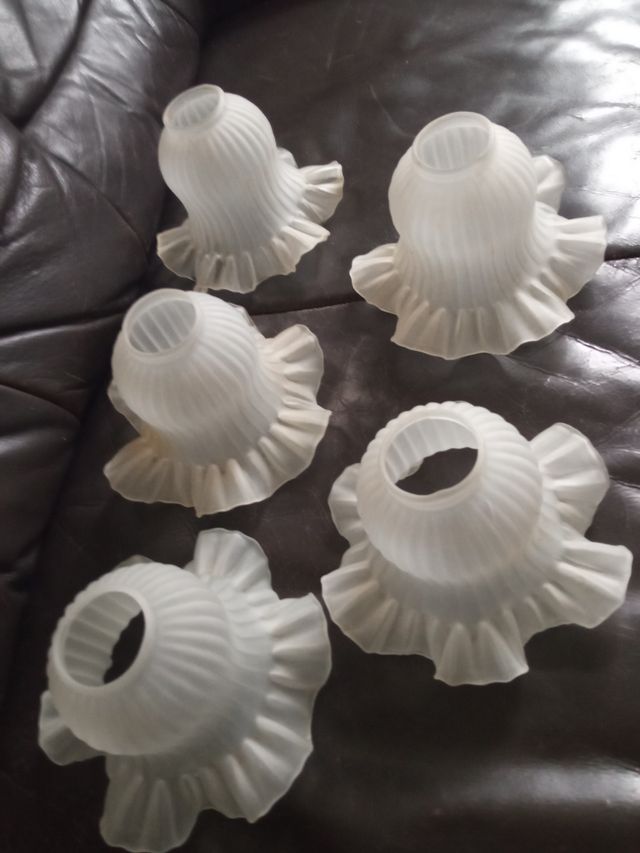 Lote de cinco tulipas vintage