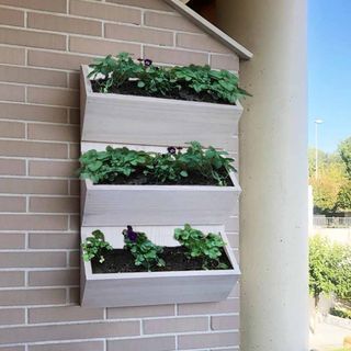 Huerto vertical color blanco 50x75cm (sin plantas)