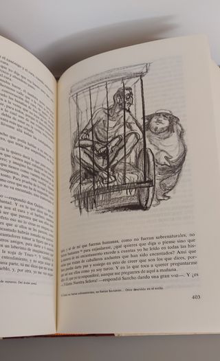 Libro " Don Quijote "