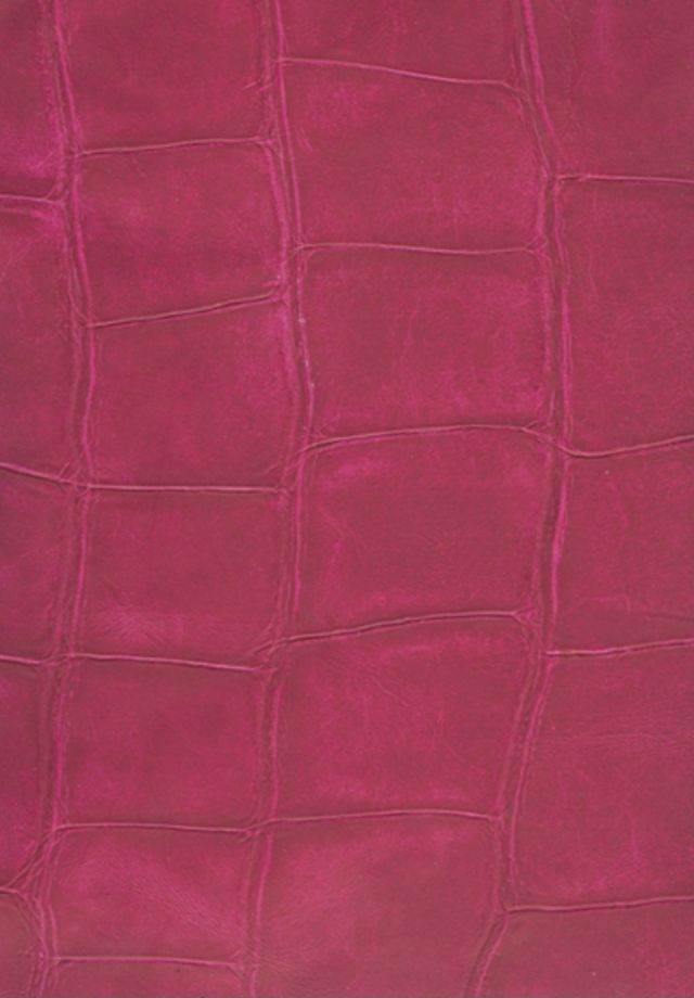 Papel pintado VP 423 17 Big Croco