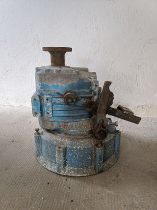 Invertitore motore entrobordo Farymann P30