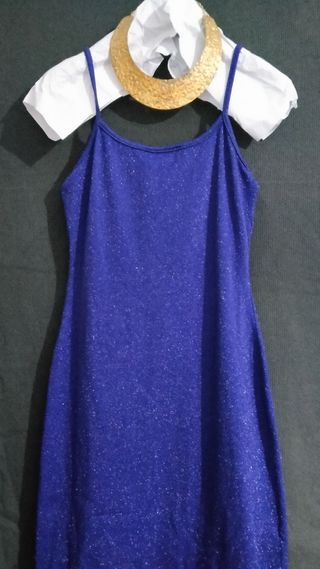Vestido Azul Marino.