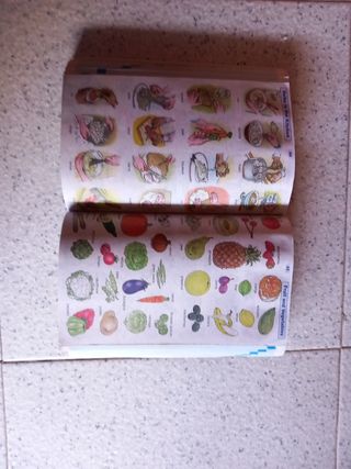 Diccionario inglés primaria