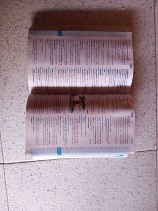 Diccionario inglés primaria