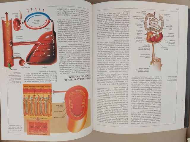 Guía Escolar VOX + Regalo