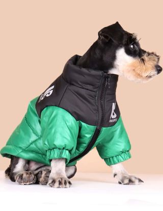 Chaqueta verde para perro
