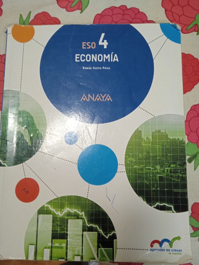 economía 4 eso