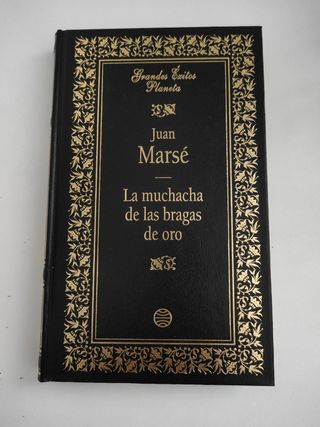 La muchacha de las bragas de oro