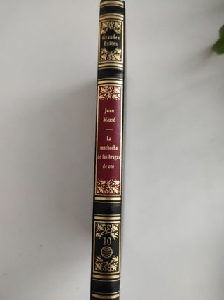 La muchacha de las bragas de oro