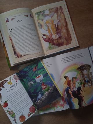 Lote 6 Cuentos de Hadas y gnomos
