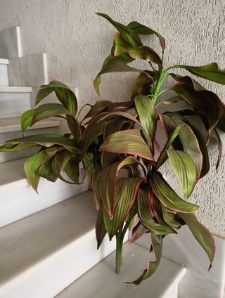 Planta decorativa de plástico