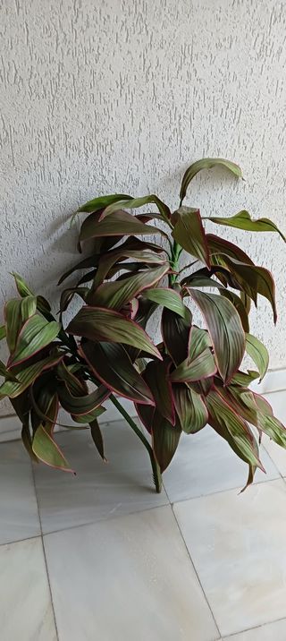 Planta decorativa de plástico