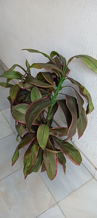 Planta decorativa de plástico