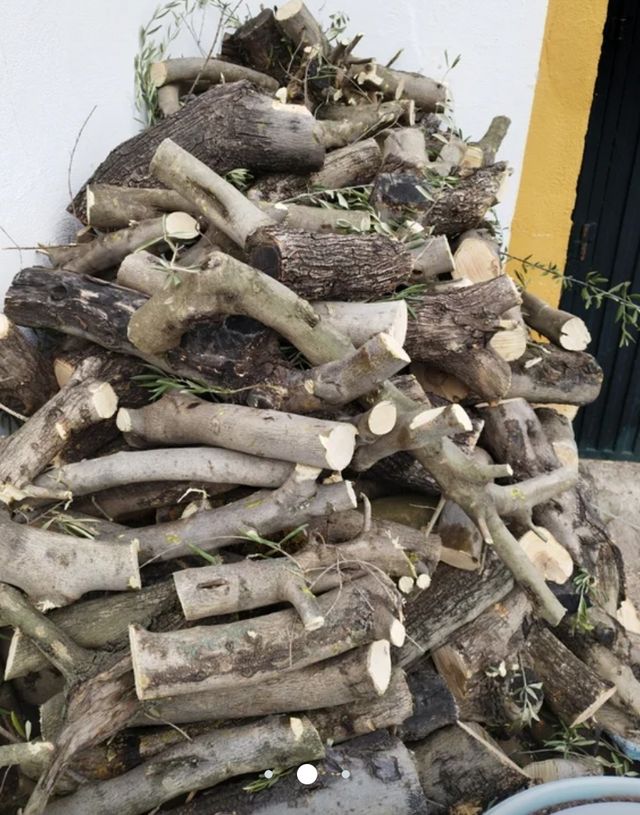 Leña de olivo
