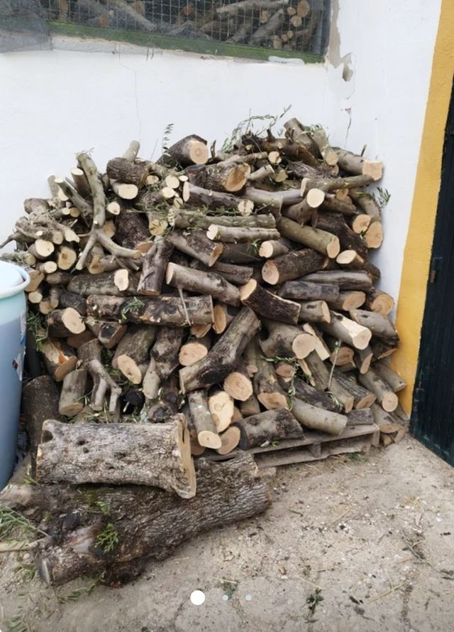 Leña de olivo