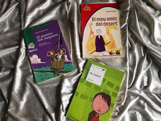 Lote de 3 libros de lectura juvenil CATALÁN