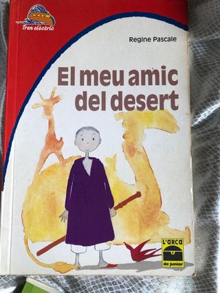 Lote de 3 libros de lectura juvenil CATALÁN