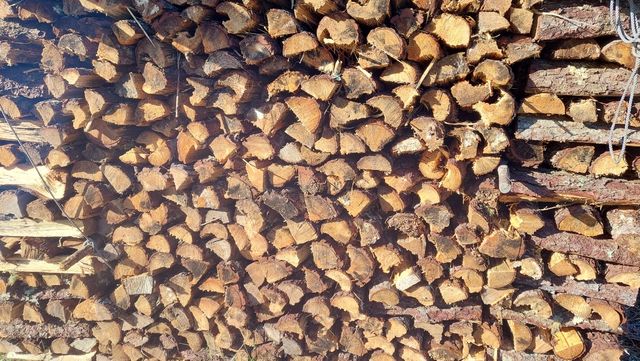 Leña Cortada Troncos.. desde 1€!