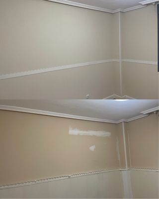 Pintor Español y alisado