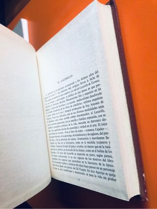 Los lazarillos en la literatura